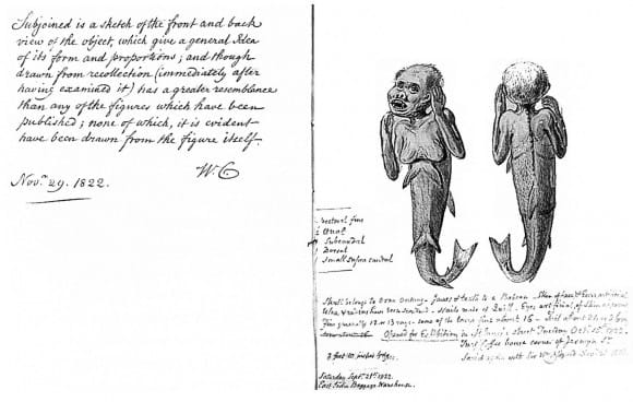 Two pages from a book with words and images about mermen