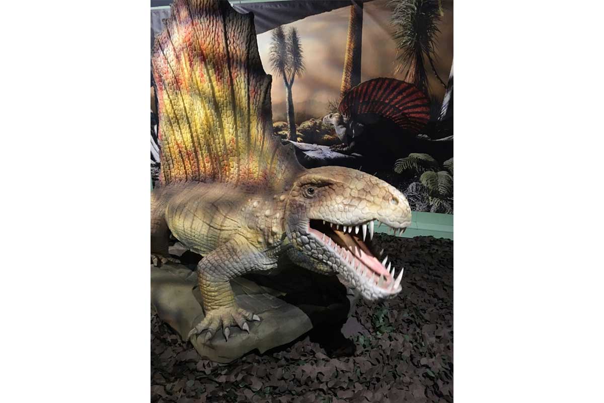 Image shows the Dimetrodon from the Permian Monsters exhibition at the Horniman Museum in 2020