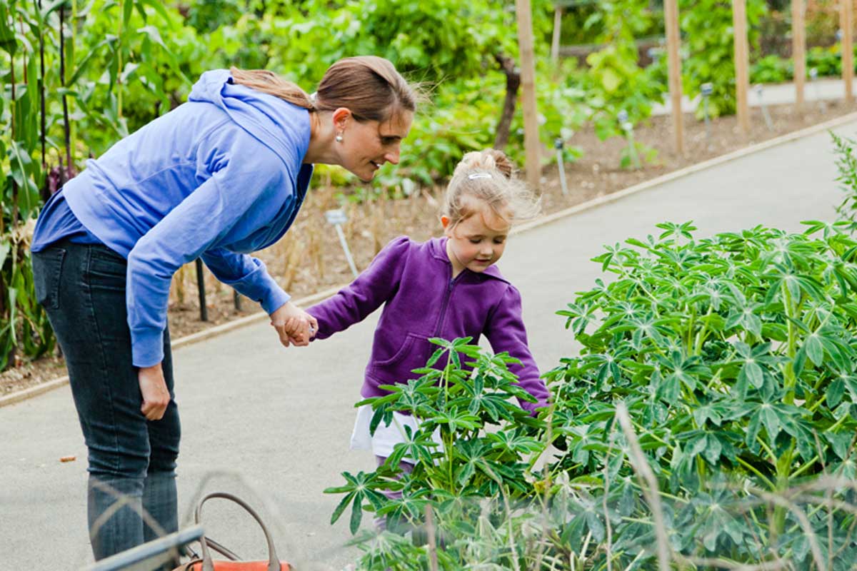 A child and an adult holding hands and looking at plants in the garden