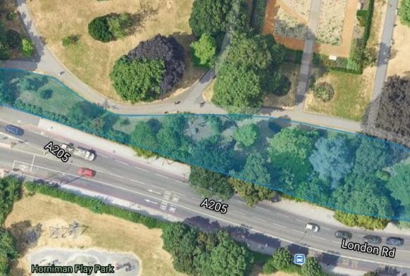 The Horniman launches Tree Planting Appeal