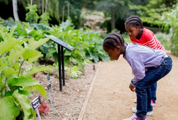 Horniman seeks eco-conscious kids