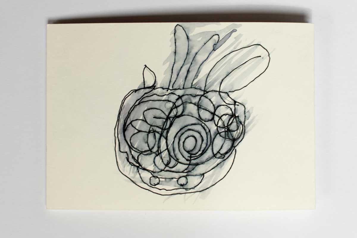 An ink drawing of a shell