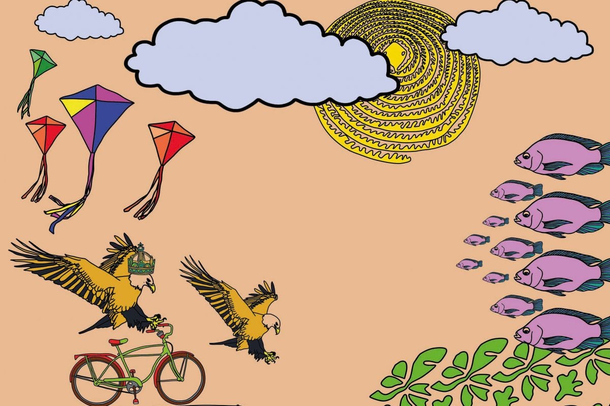 Against a salmon background we see illustrations of two eagles, some kites, clouds, and a bike. To the right of the image are a group of pink fish