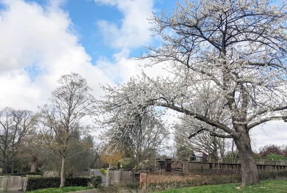 Winning combination: Fiona Clements and the Horniman