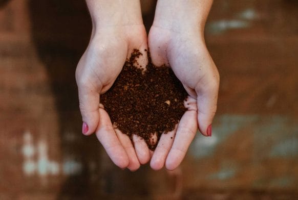 A beginner’s guide to compost