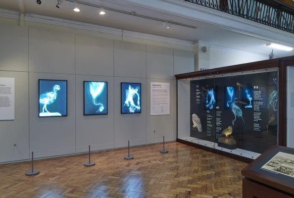 About the Art: Helena Hunter