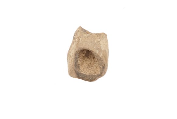 Hag Stones and Lucky Charms