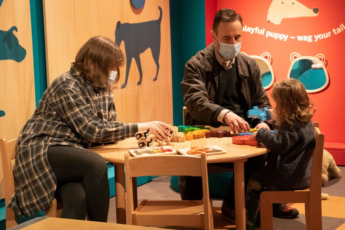 A family playing in cats and dogs