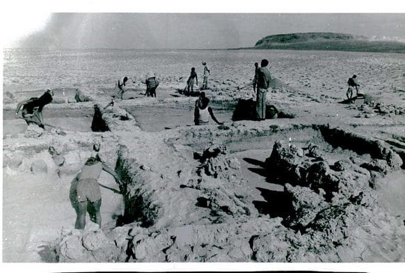 Join the Reclaiming African History Project