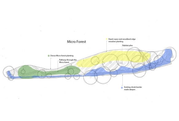 Horniman reveals design for south London micro-forest