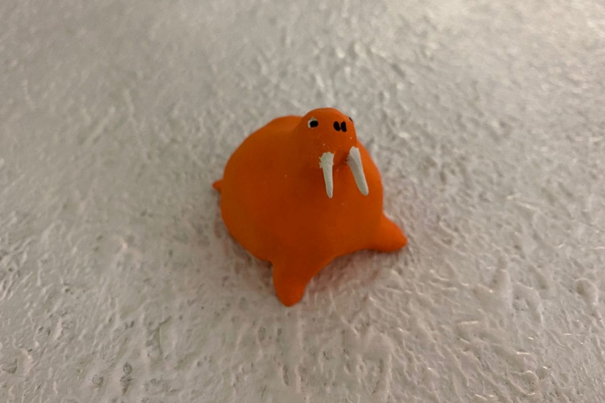 Small orange walrus