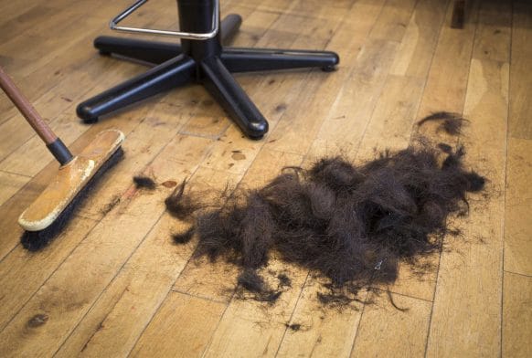 About the Art: Sanne Visser