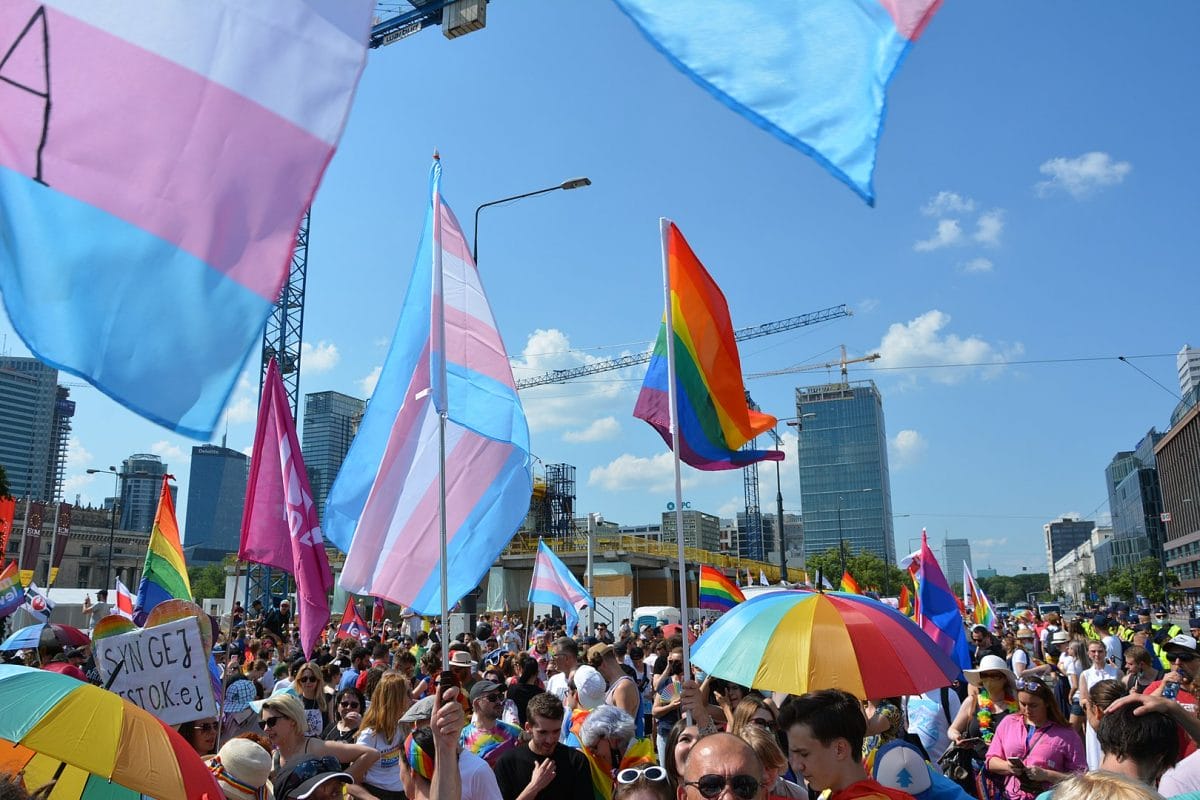 a pride parade with multiple flags including the trans flag