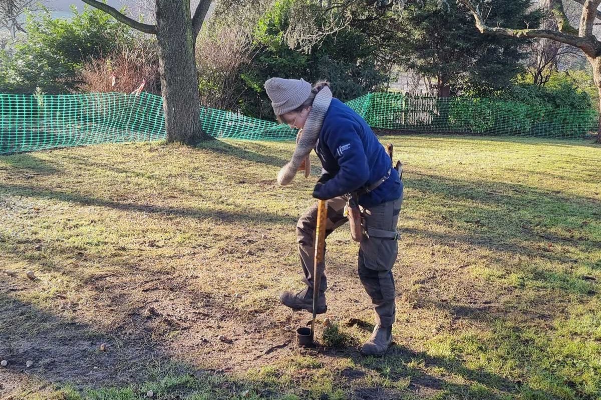 Gardener digging into the ground with a spade