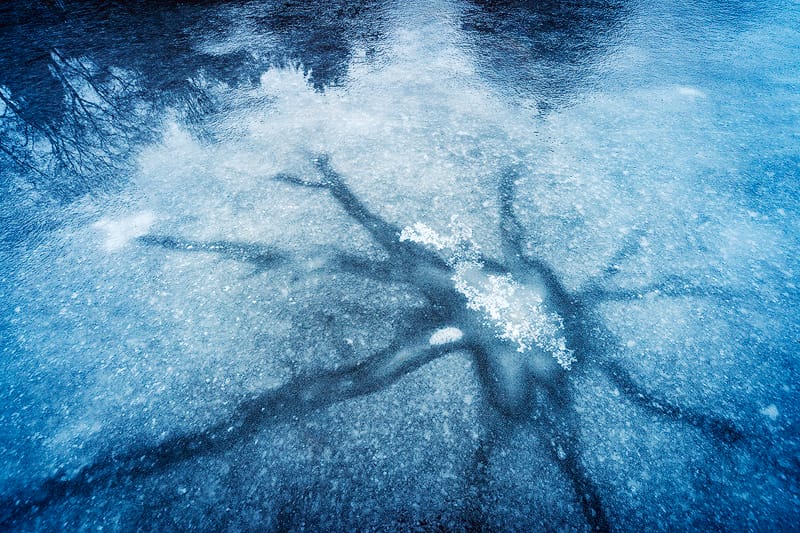 Sheet of cracked ice