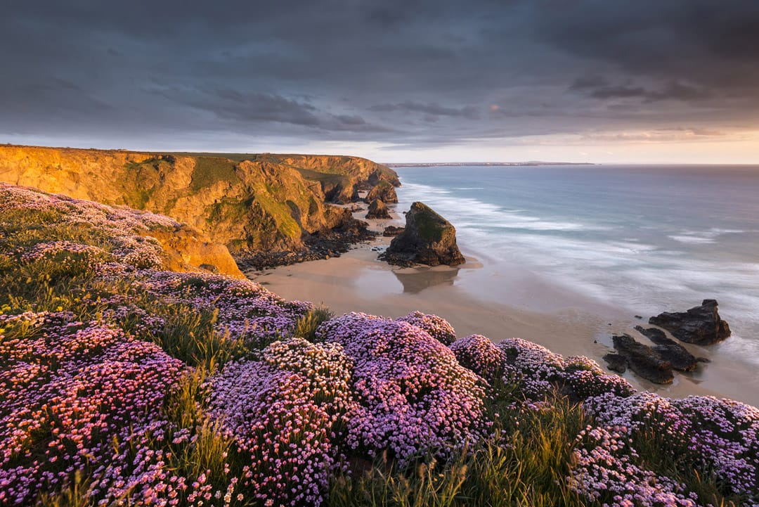 Bedruthan Steps and pink thtrift