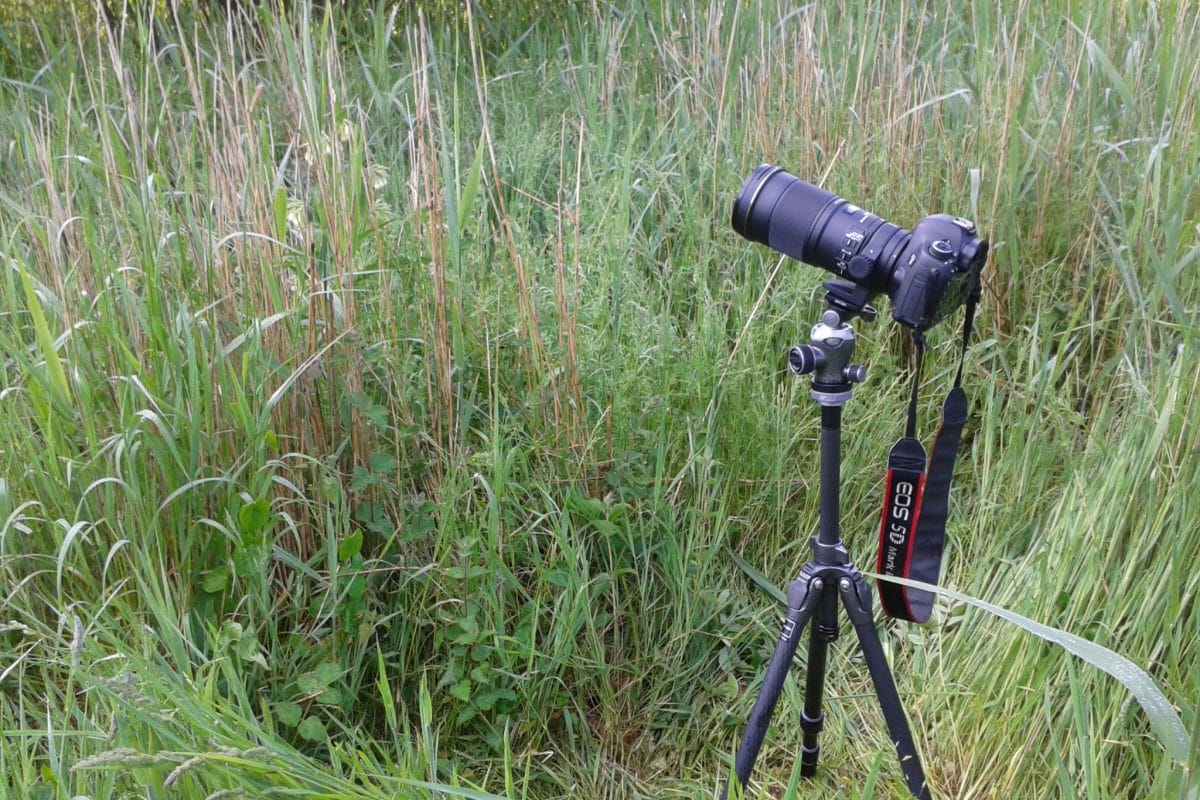 A camera set up on a tripod in a field