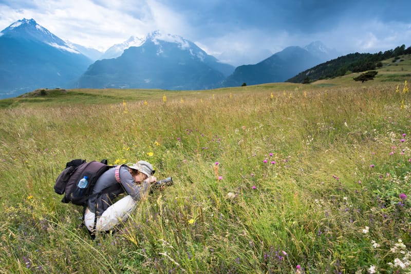 woman sitting in flower field