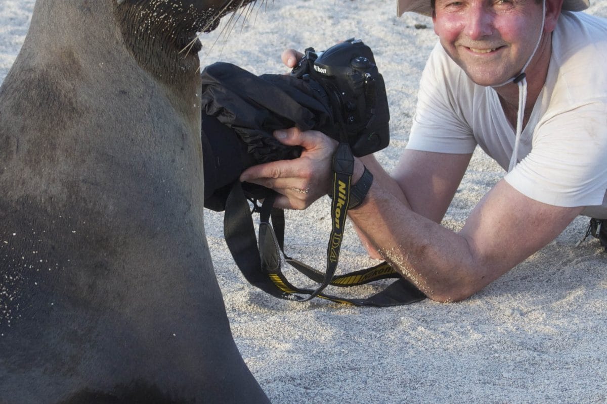 Seal