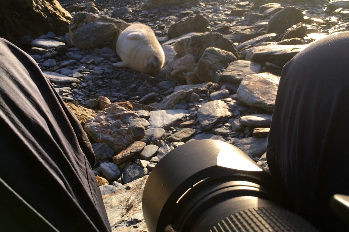 Photo of camera