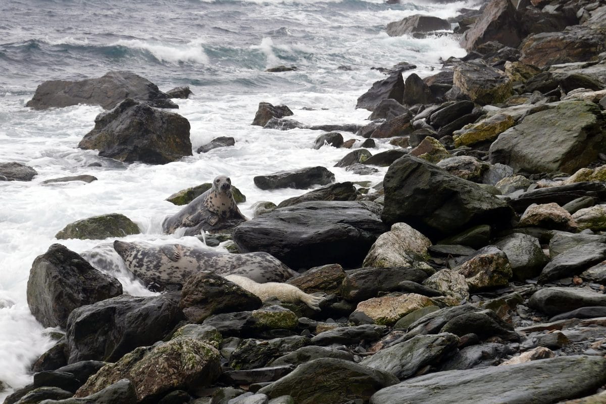 Beach shore