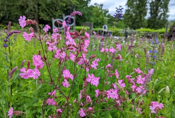 Getting to Grips with Flowers