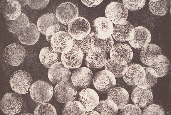 The threads of Partition: Mortal and River