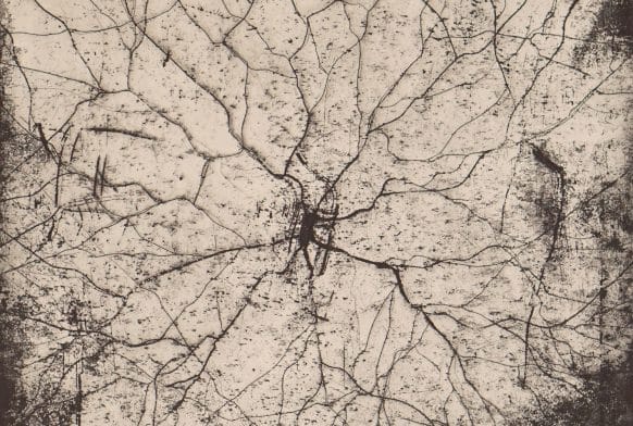 The threads of Partition: Lion and Story