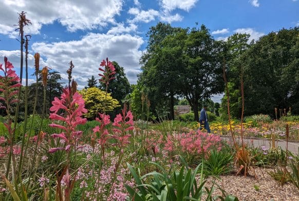 How to save water &#8211; and why it matters