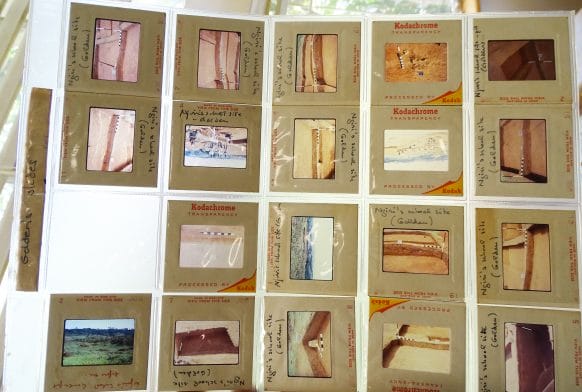 Reclaiming African History