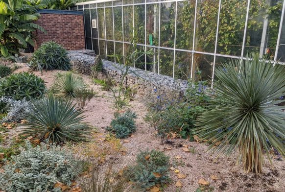 Gardening in Response to Climate Change