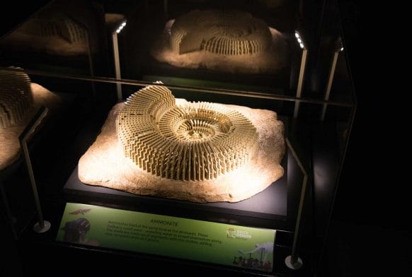 UK dinosaur Polacanthus to star in Brick Dinos at the Horniman