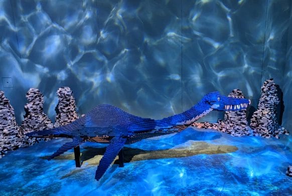 Can you tell if a dinosaur is male or female?