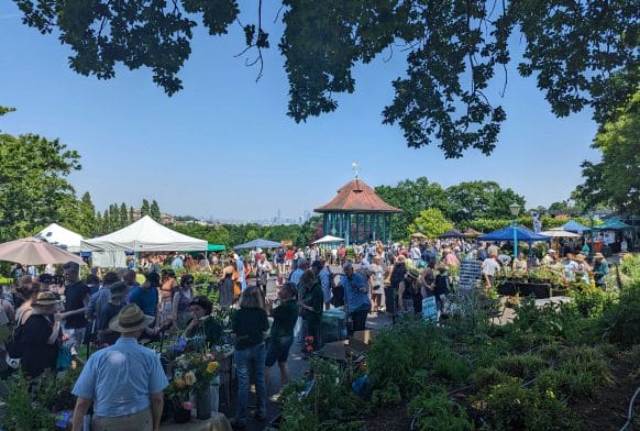 Horniman Plant Fair