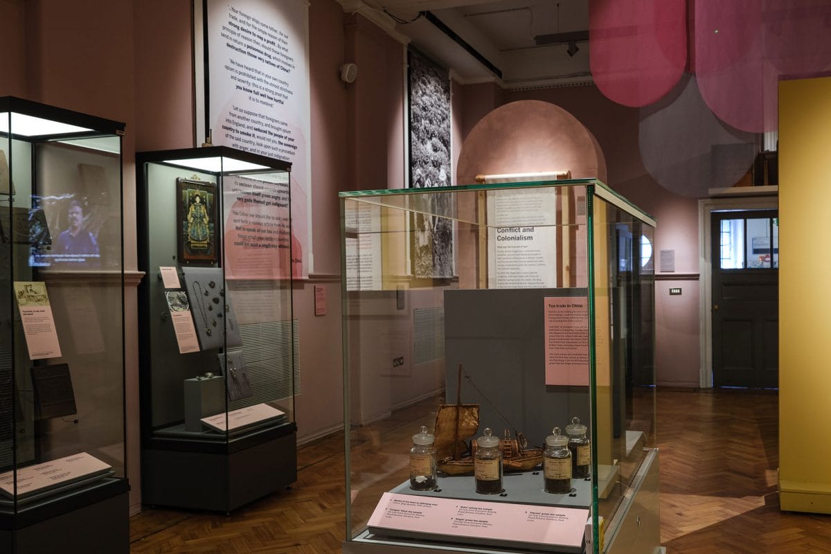 Cases with tea samples in Cha, Chai, Tea exhibition