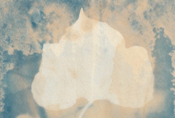 About the Art: Marie Smith