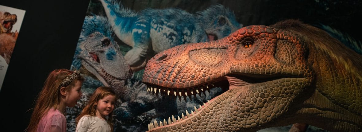 Two children looking at the model of a dinosaur head