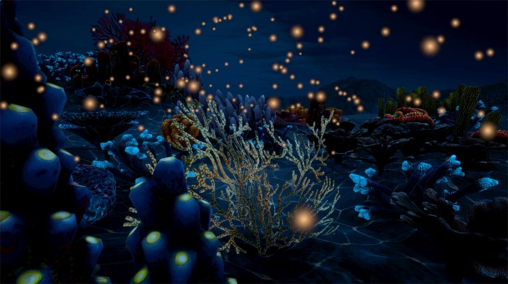VR experience style image of coral