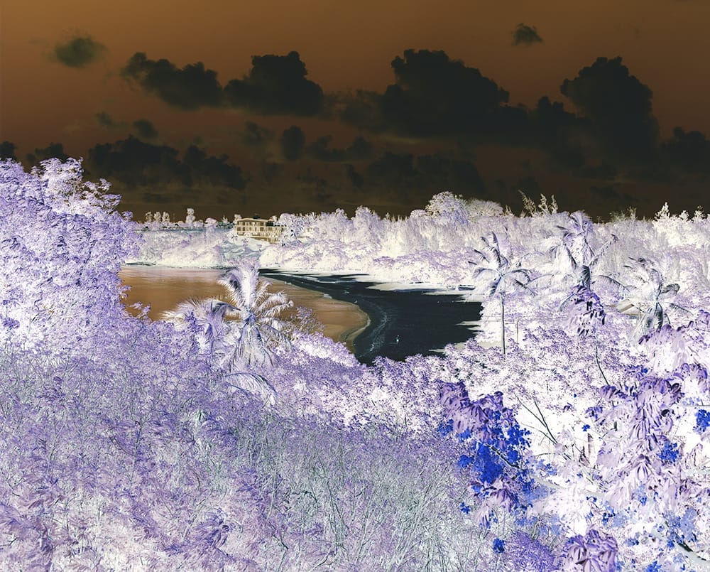 Negative image of a seafront surrounded by trees