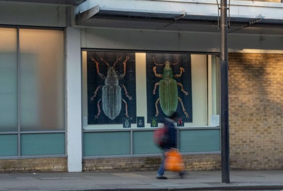 The story of the super macro