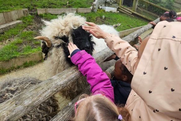 Looking at the Horniman School Holiday Club