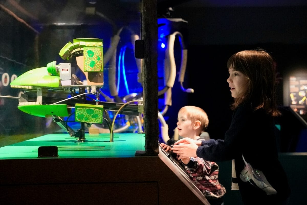 Children play with a robot animal