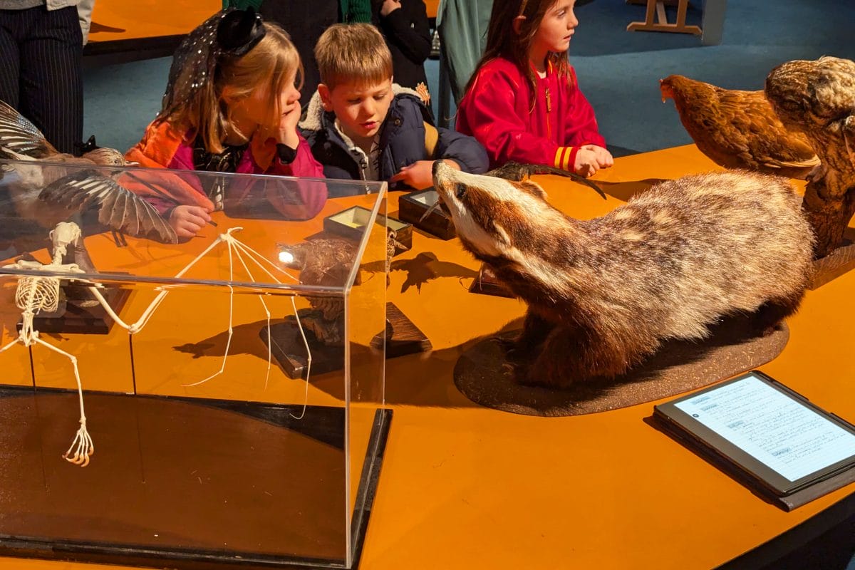 Children petting taxidermy at Horniman museum.