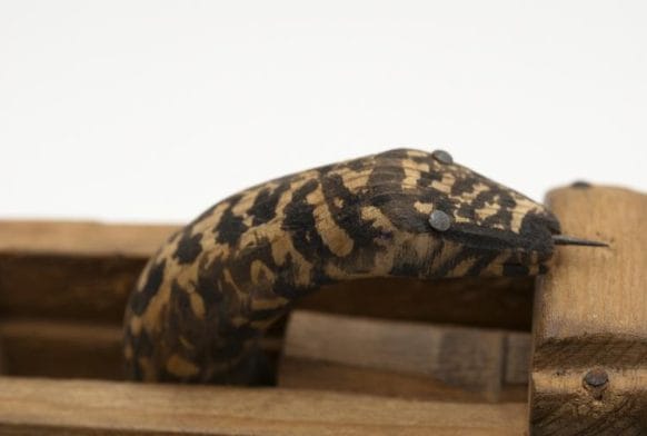 Lunar New Year 2025: Year of the Wood Snake