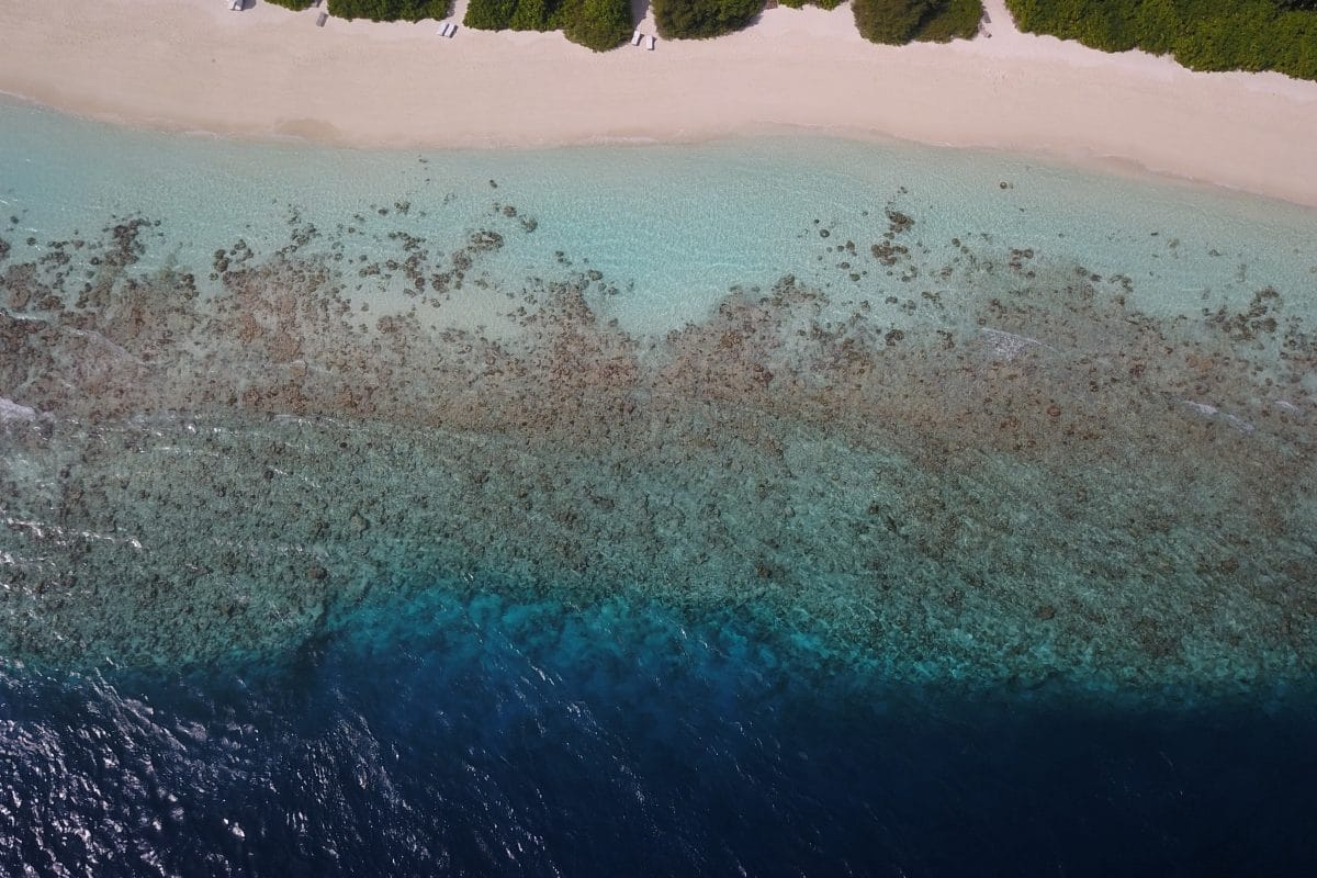 SE Indonesia shoreline coral reef with drone