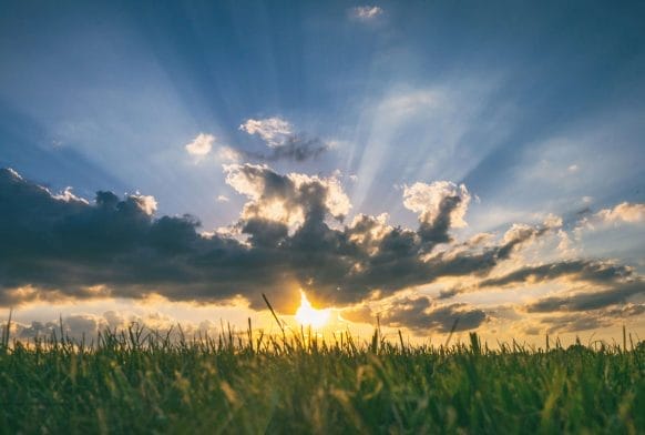 Hey Jukebox: Made in the Shade and the Sun