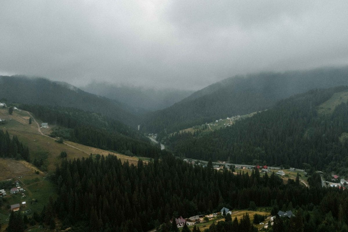 Image of the Carpathian Mountains.
