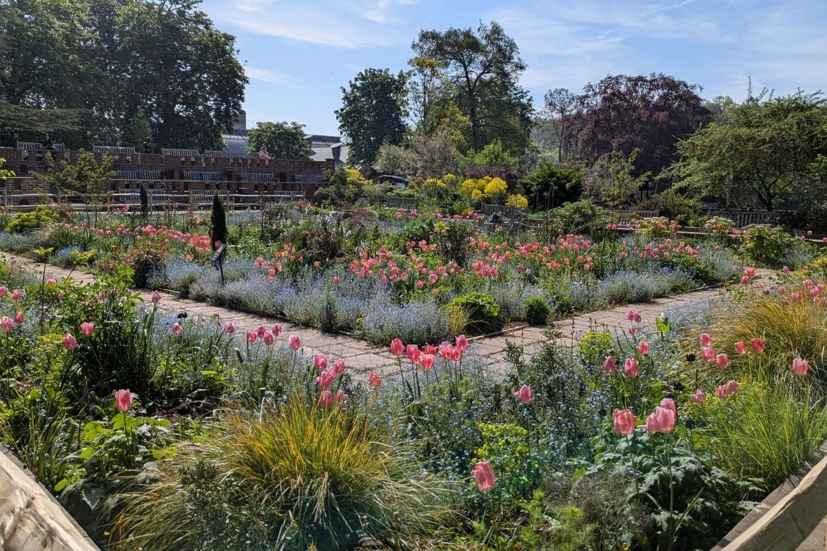 Sunken Gardens looking luscious and colourful