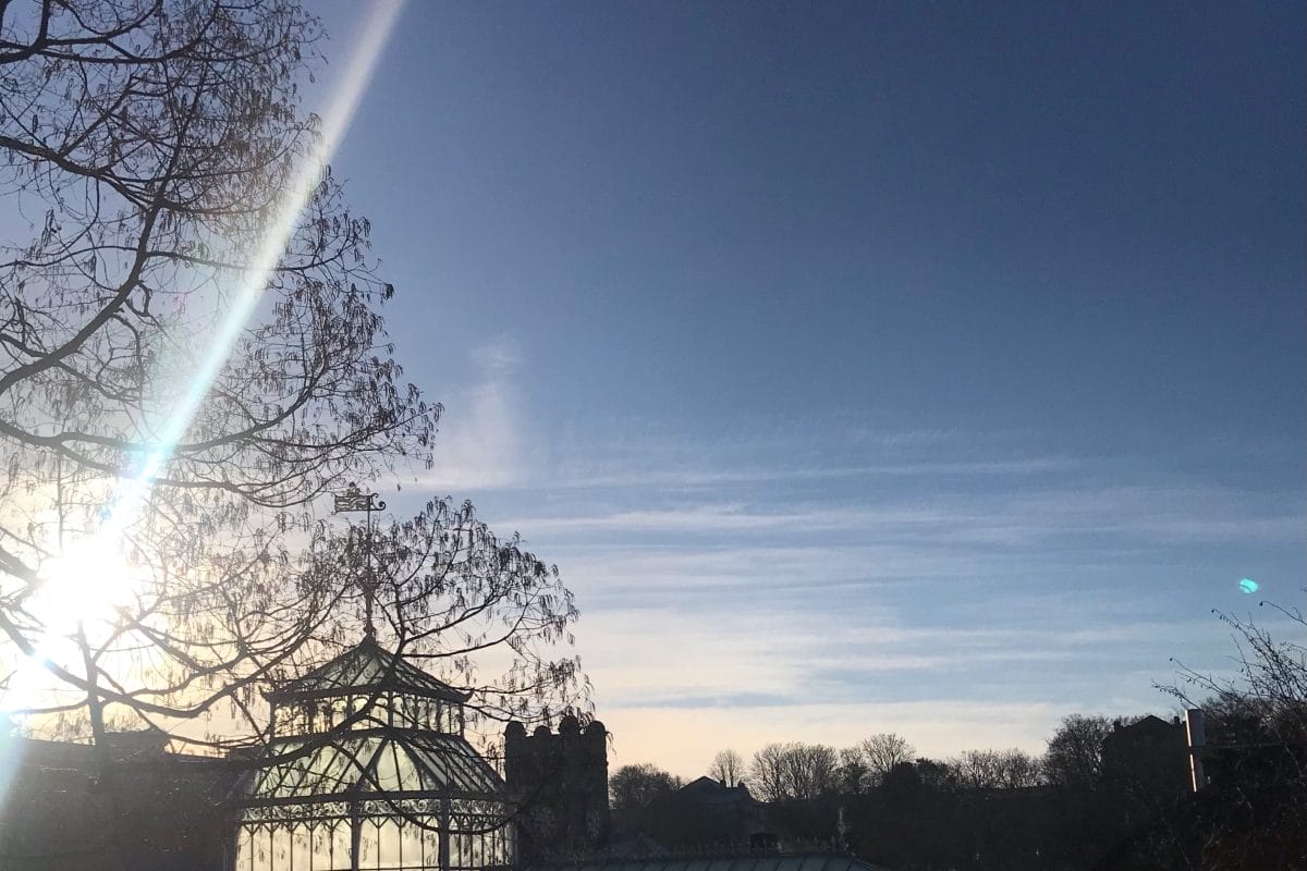 Horniman Conservatory