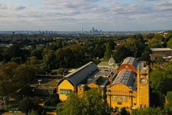 Three new Trustees appointed to the Board of the Horniman